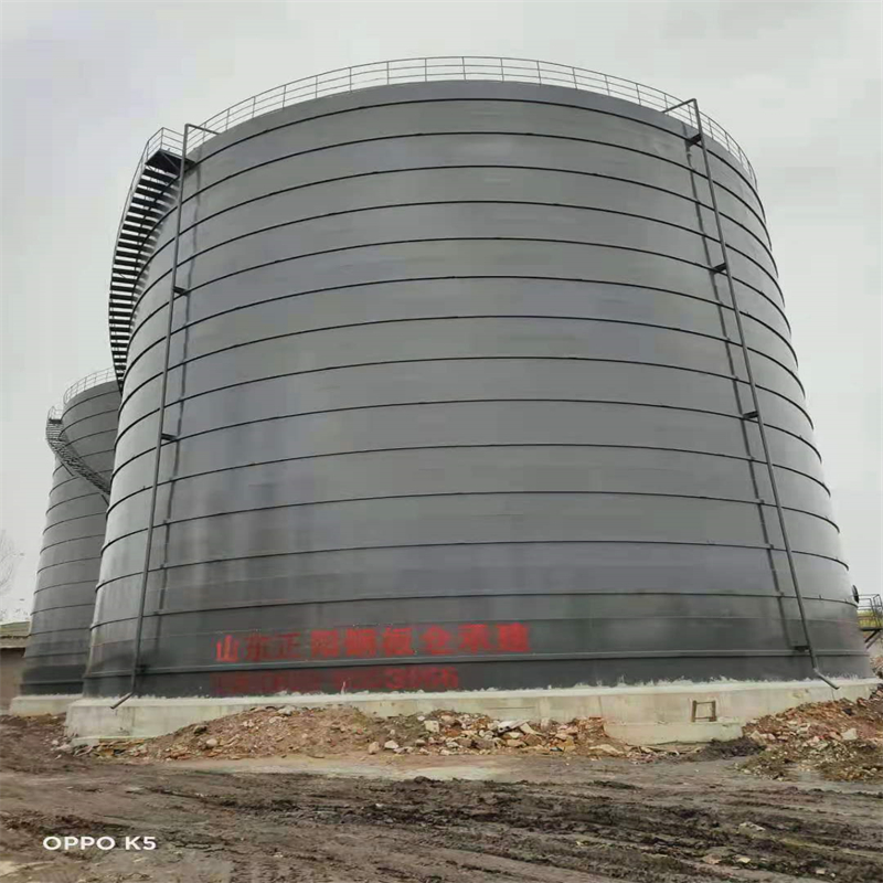 广南3万吨大型钢板库