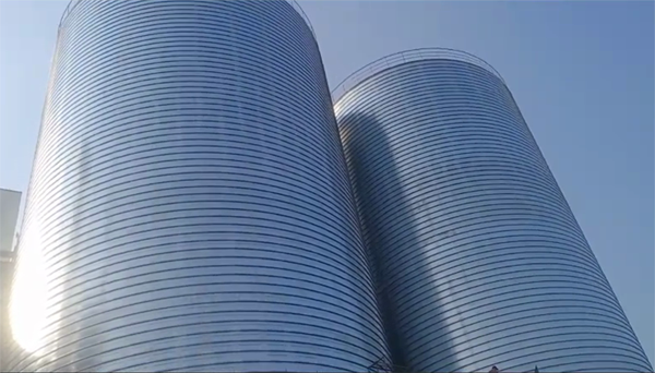 广南2座混凝土高架卷板仓